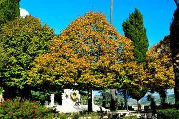 colori d'autunno nel giardino Ibleo di Ragusa