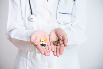 Doctor hand holding bud of medical cannabis and pills. health choice marijuana or chemical drugs. Doctor giving two choises od weed and pills