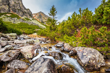 Wild creek in The Mlynicka Valley at late autumn period. The High Tatras National Park, Slovakia, Europe.