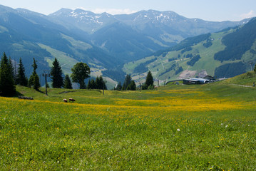Fototapeta na wymiar Alpenlandschaft im Frühling