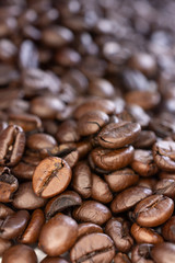 coffee beans is closeup