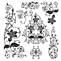 Set swirling decorative floral plant pattern black on white background - 303827976
