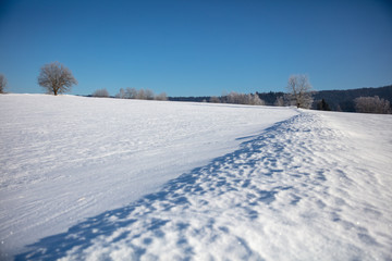 Fototapeta na wymiar snow and ice covered field in the bavarian forrest national park