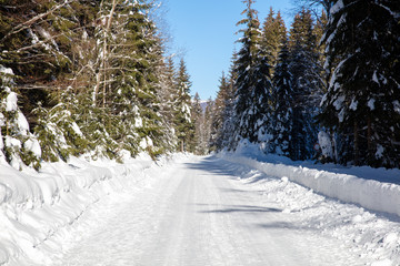 Snow and ice covered service road to mount Rachel in the Bavarian Forrest