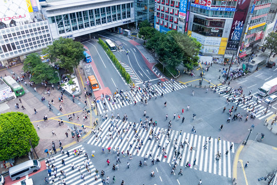 View Of Shibuya Scramble Crossing In Tokyo From Above