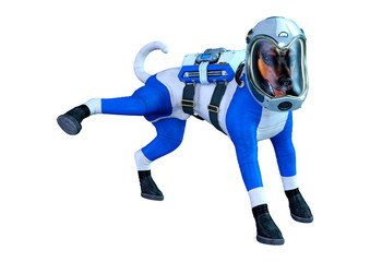 3D Rendering Astronaut Dog on White © photosvac