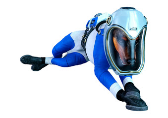 3D Rendering Astronaut Dog on White © photosvac
