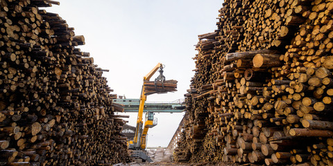 wood lift crane factory cut log storage tree