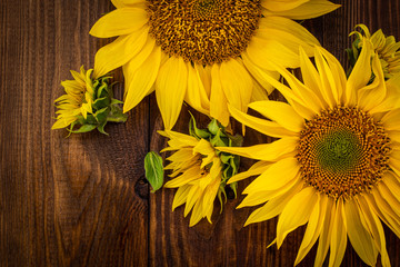 Autumn background with sunflowers on wooden board