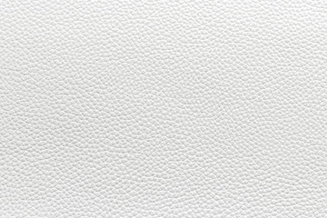 Plakat Real animal skin background texture. natural leather