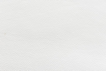 Real animal skin background texture. natural leather