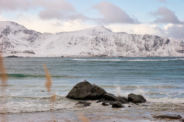 Fototapeta na wymiar Winterzauber auf den Lofoten
