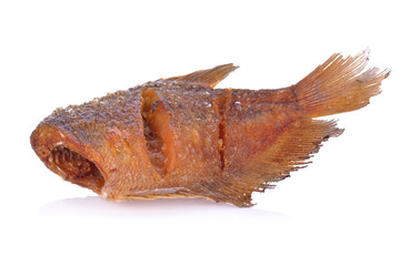 Fried fish isolated on white background.