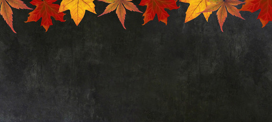 autumn – frame of colorful leaves isolated on a black concrete texture – background panorama...