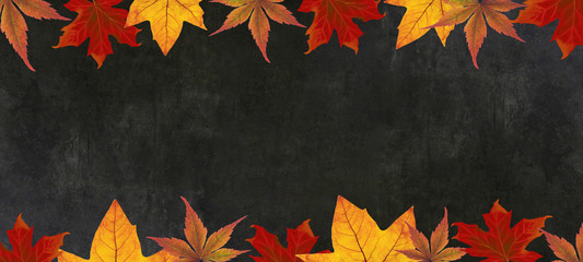 autumn – frame of colorful leaves isolated on a black concrete texture – background panorama...