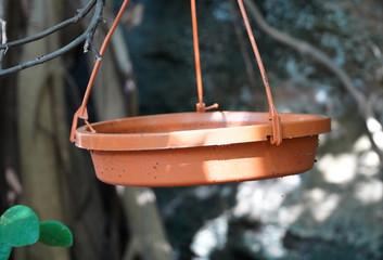Bokeh Plastic Birds Water Feeder Handing With The Tree Branch, Birds Can Safely Drink Water.
