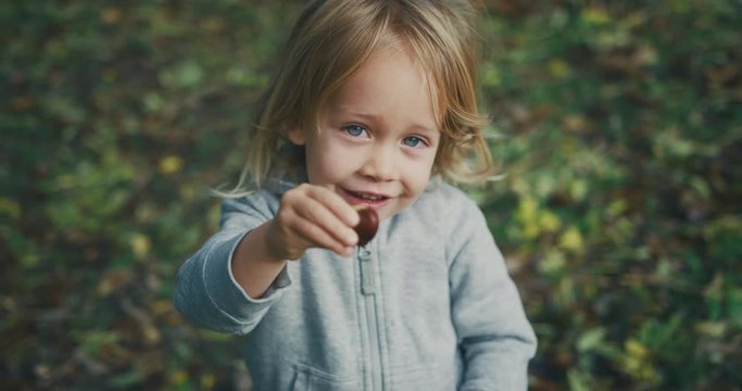 Little toddler showing a chestnut to the camera in the woods
