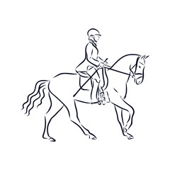dressage horses, show jumping, vector sketch
