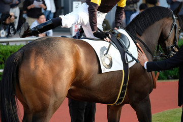 the scene of horse race in Japan