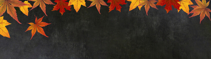 autumn – frame of colorful leaves isolated on a black concrete texture – background panorama...