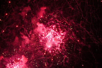 Beautiful evening view of firework burst crackers in the sky celebration city birthday.