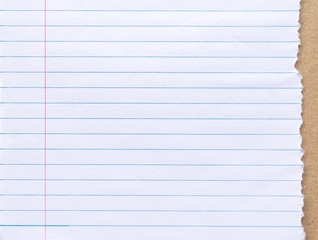 White line Notebook Paper Background 