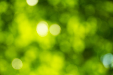 Natural green bokeh abstract background