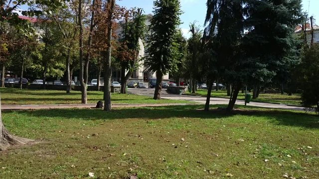 autumn walk through the city park at the alley