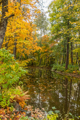 Fototapeta na wymiar Autumn landscape with a calm river in forest.