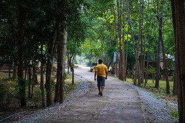 walking in the forest