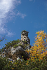 Fototapeta na wymiar NB__9775 Owl shape rock face with autumn trees