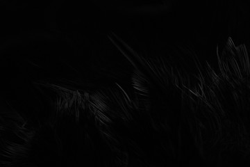 Abstract  art of beautiful paint for texture background and design,Colorful and fancy colored