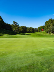 Obraz premium View of Golf Course with beautiful putting green. Golf course with a rich green turf beautiful scenery.