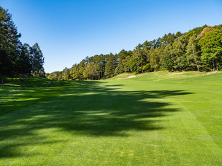 Fototapeta premium Golf Course with beautiful green field. Golf course with a rich green turf beautiful scenery.