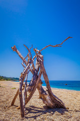 Driftwood on the beach in Greece