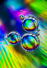 Nice full color rainbow oil bubbles in water abstract macro photography