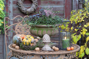 Gartendekoration mit Herbst mit Herbstpflanzen, Kürbissen und Laterne