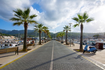 Palm promenade in Port Soller, Mallorca, Balearic islands, Spain