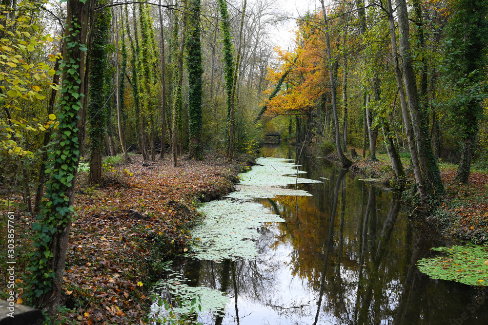 Poster paysage d'Automne