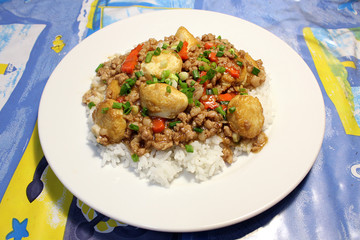 Rice with stir fried tofu and minced pork on top
