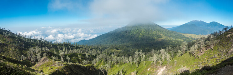 Naklejka premium panorama with green nature and hills on horizon