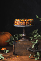 pumpkin cheesecake with sea buckthorn in chocolate glaze