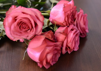 Festive mood. A bouquet of fresh fragrant pink roses for lovers.