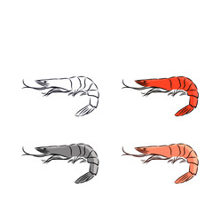 illustration of lobster