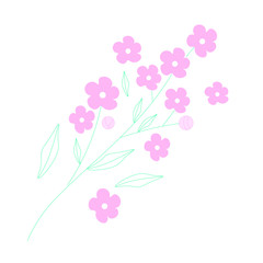 Cherry blossom branch vector illustration