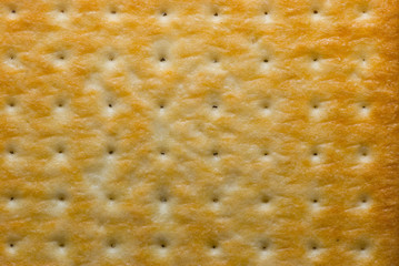 Texture, background from a large salty cracker, closeup