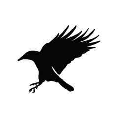 silhouette of crow 