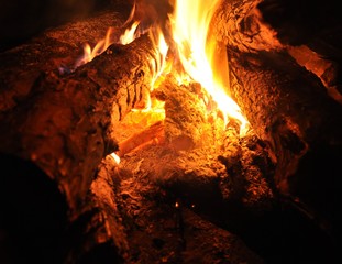  burning coals of a night campfire