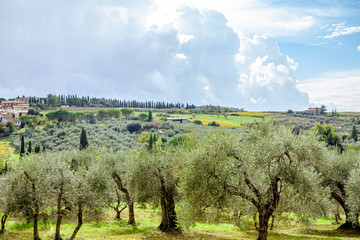 Tuscany Italy  Typical Contryside scenic Landscape