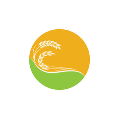 Agriculture Wheat logo template vector icon design